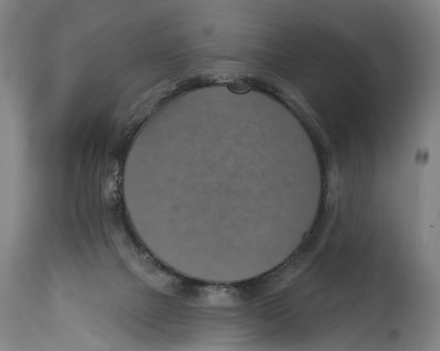 X0000114420073200911131500