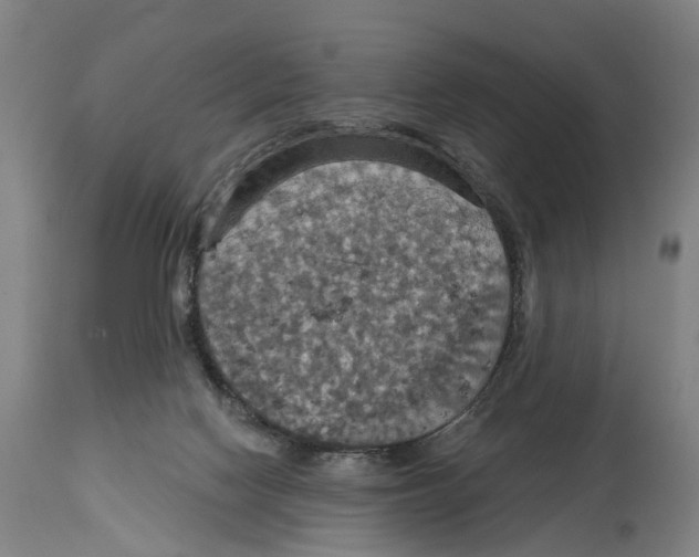 X0000114420074200911131500