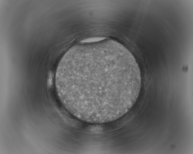 X0000114420075200911131500