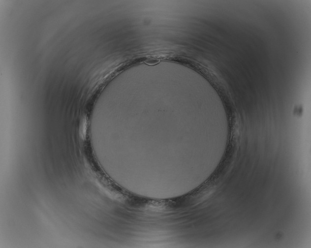 X0000114420076200911131500
