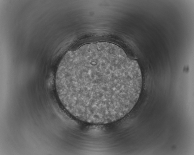X0000114420077200911131500