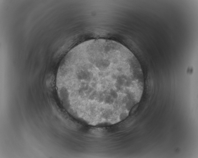 X0000114420079200911131500