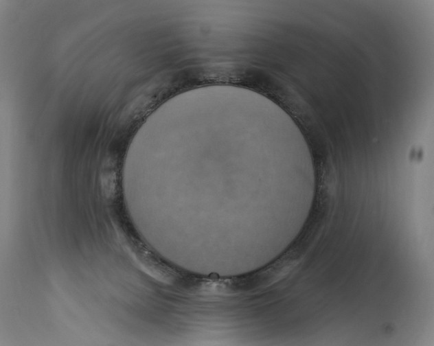 X0000114420080200911131500