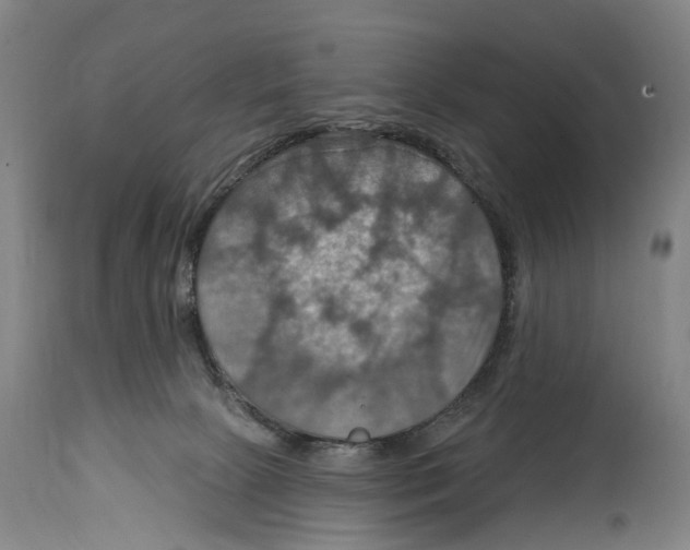 X0000114420081200911131500