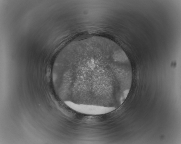 X0000114420082200911131500