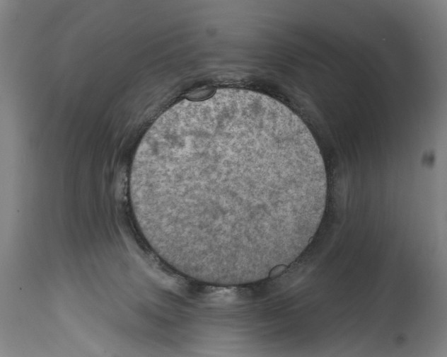 X0000114420083200911131500