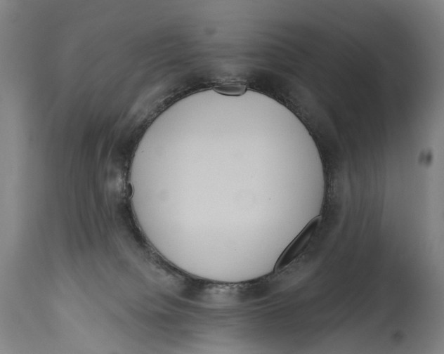 X0000114420084200911131500