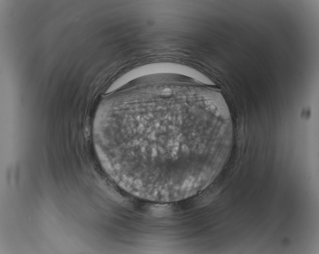 X0000114420085200911131500