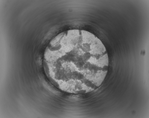 X0000114420086200911131500