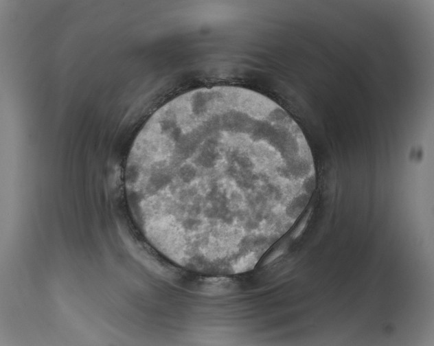 X0000114420087200911131500