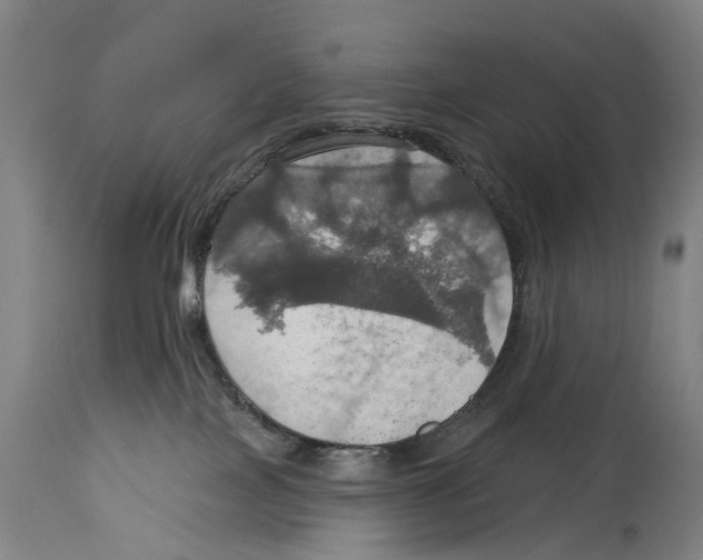 X0000114420089200911131500