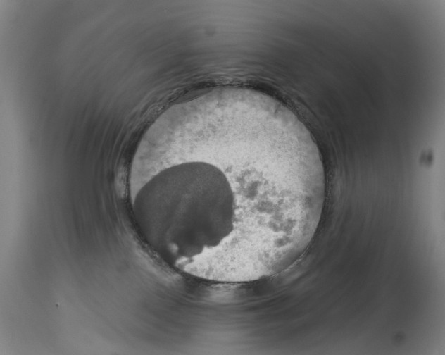 X0000114420090200911131500