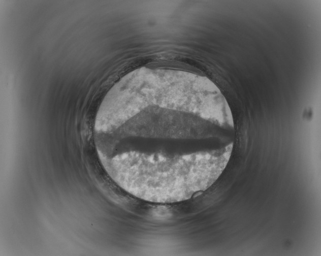 X0000114420091200911131500