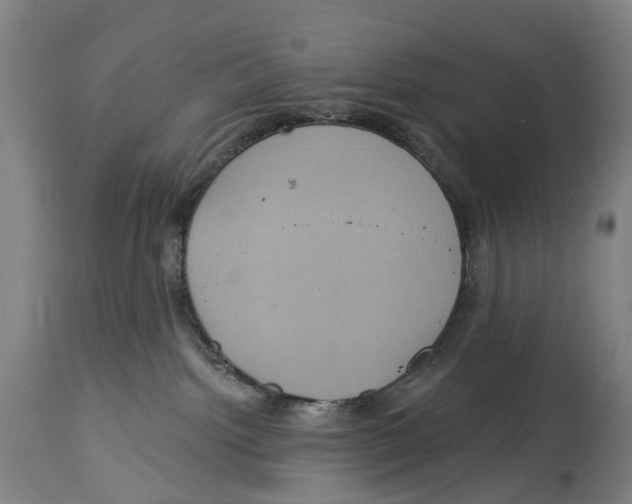 X0000114420092200911131500