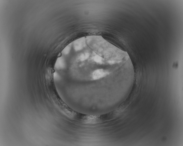 X0000114420093200911131500