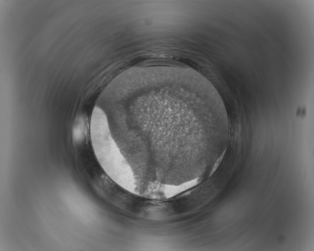 X0000114420095200911131500