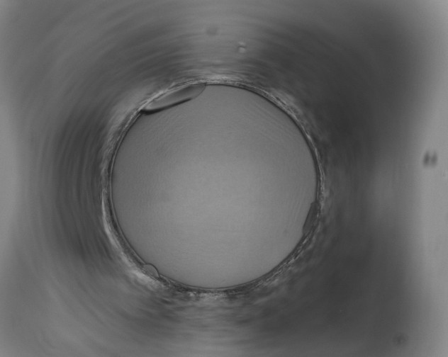 X0000114420097200911131459