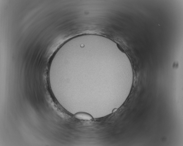 X0000114420098200911131459