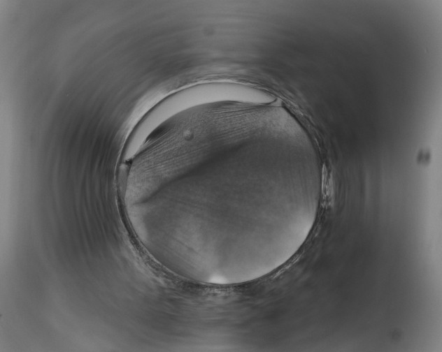 X0000114420099200911131459