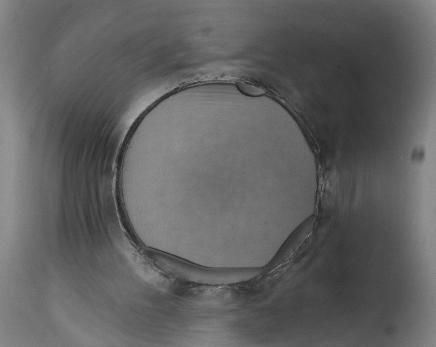 X0000114420100200911131459