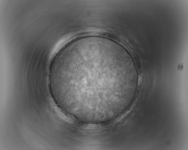 X0000114420101200911131459