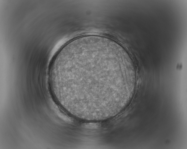X0000114420102200911131459
