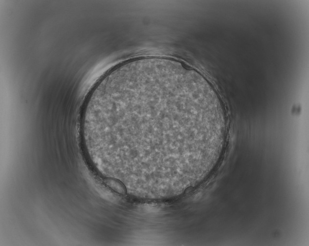X0000114420103200911131459