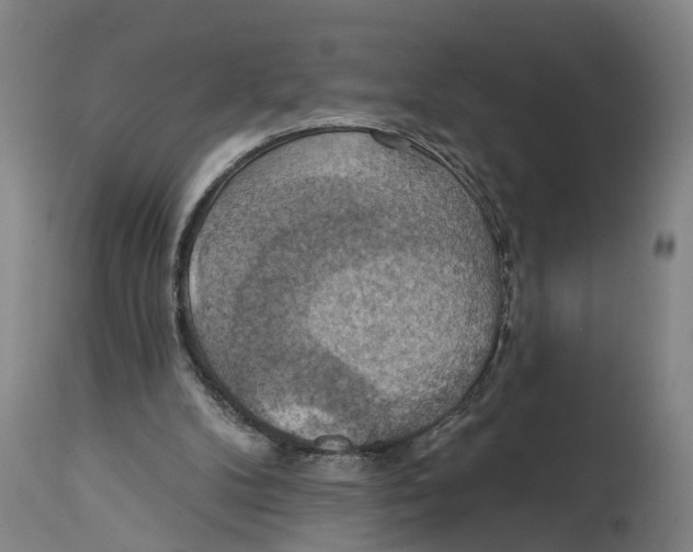 X0000114420104200911131459
