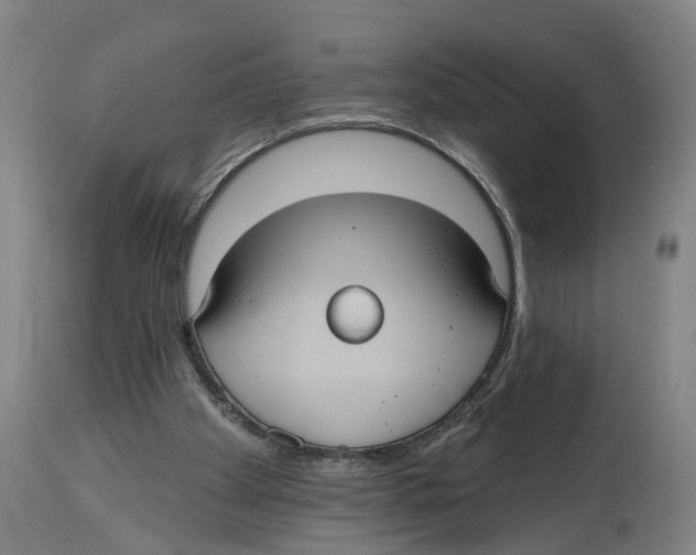 X0000114420105200911131459