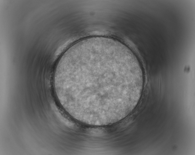 X0000114420106200911131459