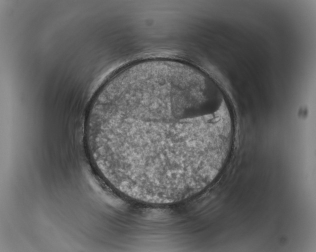 X0000114420107200911131459