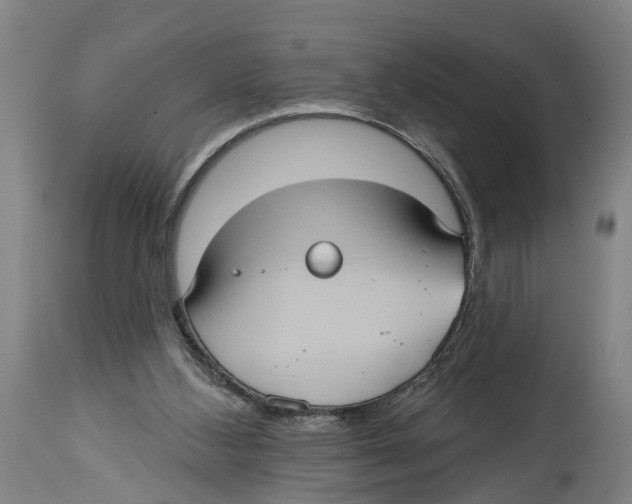X0000114420108200911131459