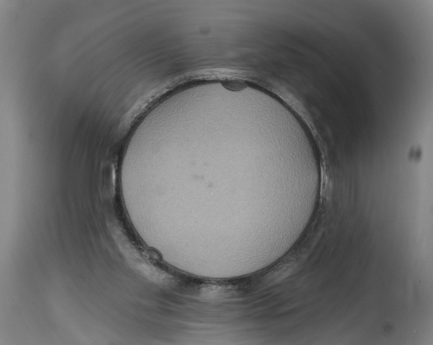 X0000114420109200911131459