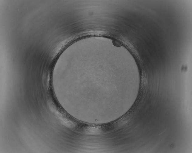 X0000114420110200911131459