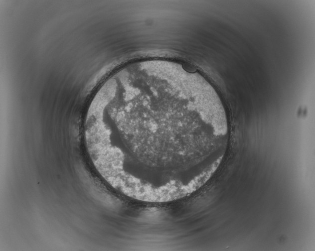 X0000114420111200911131459
