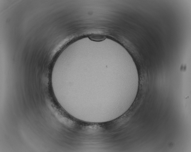 X0000114420112200911131459