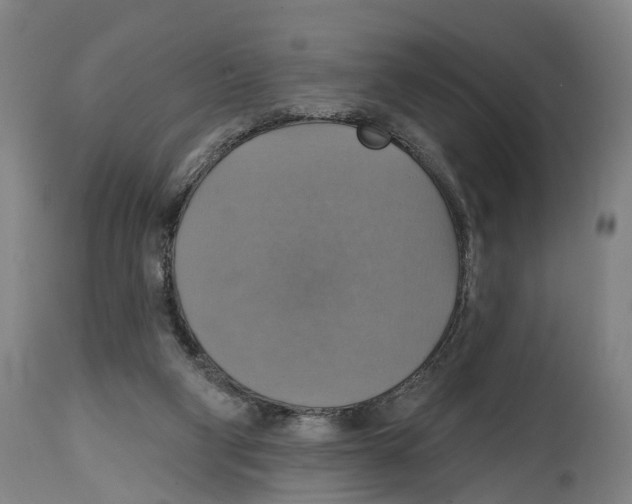 X0000114420114200911131459
