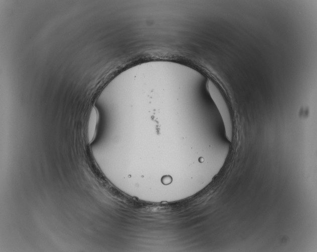 X0000114420117200911131459