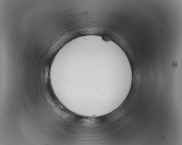 X0000114420118200911131459