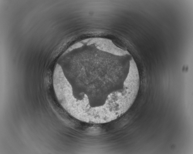 X0000114420119200911131459