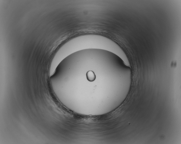 X0000114420120200911131459