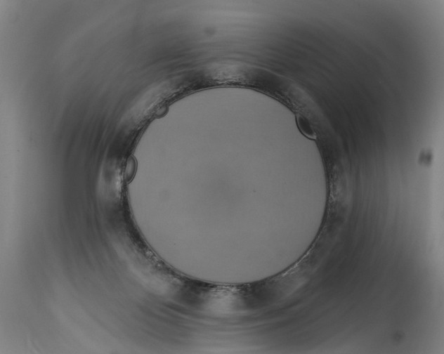 X0000114420124200911131459