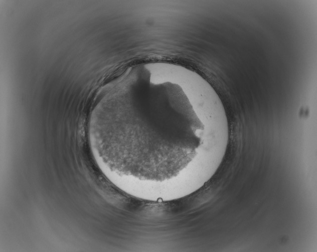 X0000114420127200911131459