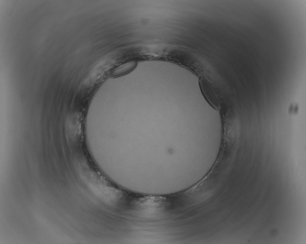 X0000114420128200911131459