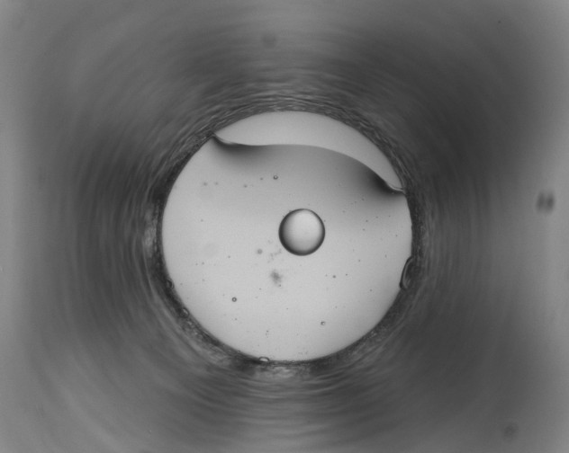 X0000114420129200911131459