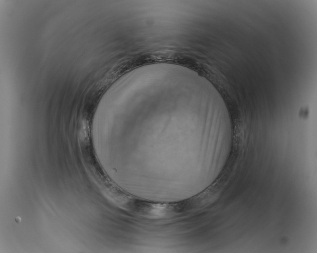 X0000114420130200911131459