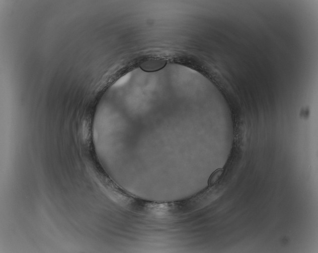 X0000114420131200911131459