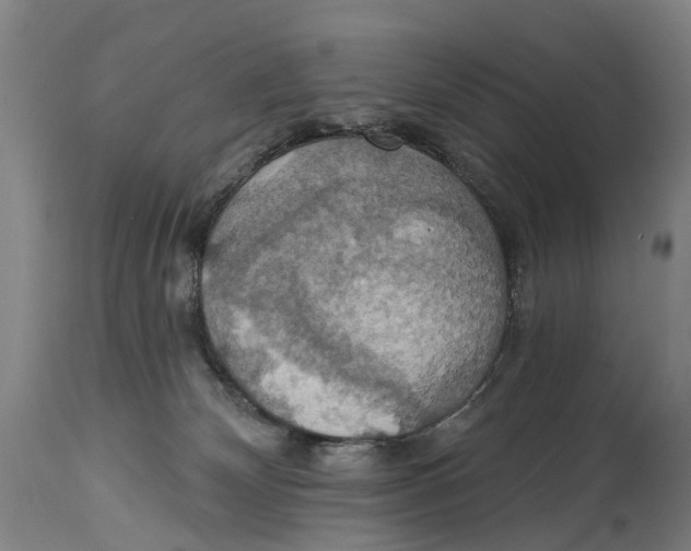 X0000114420132200911131459