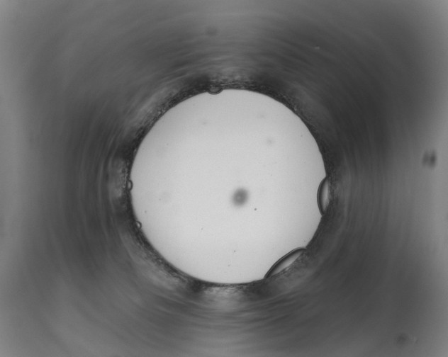 X0000114420133200911131459
