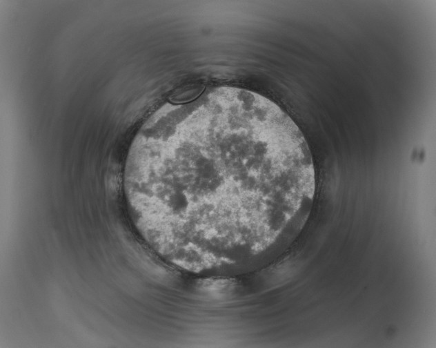 X0000114420135200911131459